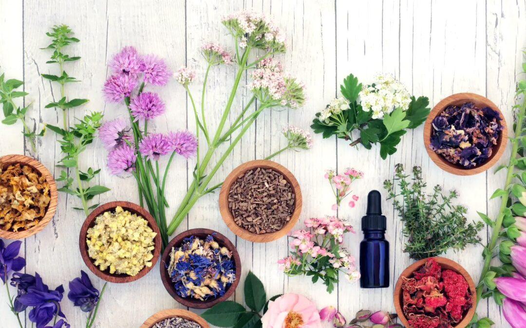 Zioła na Mazurach: Etnobotaniczny warsztat aromaterapeutyczny z Sarą Orzechowską